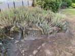 Bentheimer stenen, Tuin en Terras, Ophalen, Overige materialen