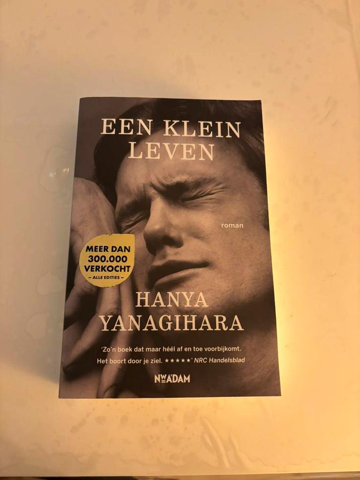 Hanya Yanagihara - Een klein leven, Boeken, Literatuur, Zo goed als nieuw, Amerika, Ophalen of Verzenden