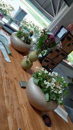 2 keramische gouden bloempotten met vetplanten, Ophalen, Zo goed als nieuw