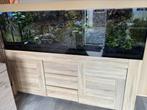 Mooi groot aquarium, Ophalen of Verzenden, Zo goed als nieuw, Gevuld zoetwateraquarium