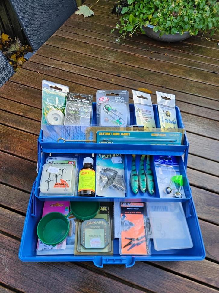 Viskoffer met diverse visaccessoires, Watersport en Boten, Hengelsport | Karpervissen, Gebruikt, Overige typen, Ophalen of Verzenden