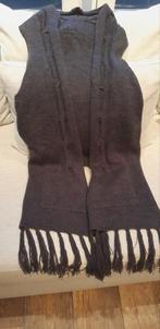 Warm vest, NIEUW, maat XL, merk Question, Ophalen of Verzenden, Zo goed als nieuw