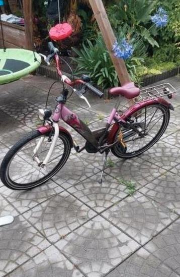 Alpina Fiori Girl Power 24 inch met terugtraprem en slot. beschikbaar voor biedingen