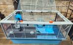 Hamster kooi, Dieren en Toebehoren, Minder dan 60 cm, Kooi, Minder dan 75 cm, Ophalen of Verzenden