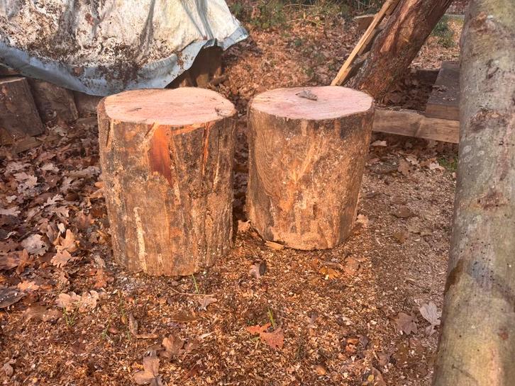 Hakblok – Ideaal voor aanmaakhout & kloofwerk (€25 p/st), Tuin en Terras, Haardhout, Minder dan 3 m³, Ophalen