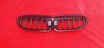 BMW 3 Serie G20 G21 Radiatorrooster Nieren, Ophalen of Verzenden, Nieuw, Voor, BMW