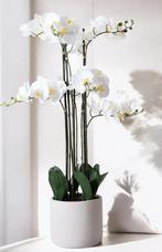 Nieuwe orchidee kunstplant, Ophalen, Nieuw, Binnen