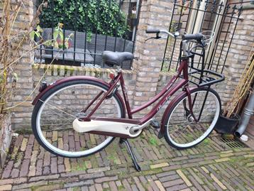 Sparta Country Transport  beschikbaar voor biedingen