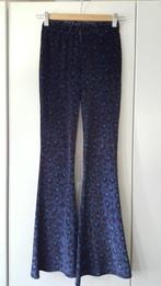Catwalk junkie, leopard velvet flared, Blauw, Ophalen of Verzenden, Zo goed als nieuw, Catwalk Junkie