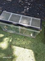 Te koop:, Dieren en Toebehoren, Reptielen en Amfibieën | Toebehoren, Ophalen, Gebruikt, Terrarium of Paludarium