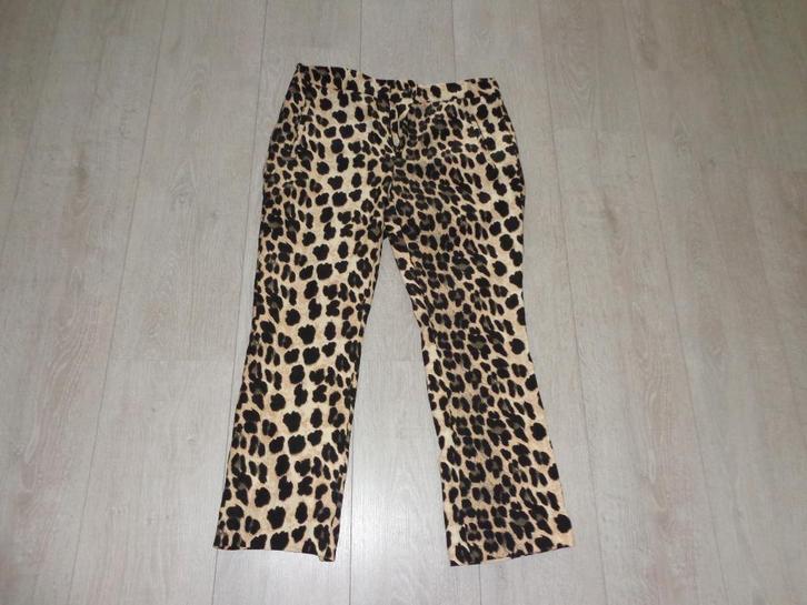 damesbroeken maat M van o,a. ZARA, ROYAL CHICKS, April Evil, Kleding | Dames, Broeken en Pantalons, Zo goed als nieuw, Maat 38/40 (M)