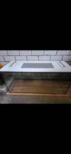 Aquarium met deksel 100x40x45, Kooi, Gebruikt, Hamster, 75 tot 110 cm