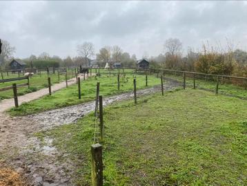 Pony paradise paddock voor shentland pony ruin beschikbaar voor biedingen