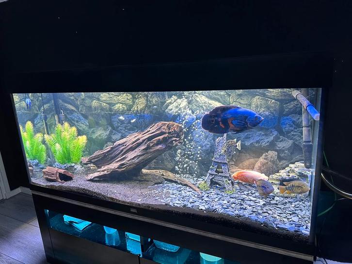 Juwel 240L + Crystalprofi e1502 + kleine kast, Dieren en Toebehoren, Vissen | Aquaria en Toebehoren, Zo goed als nieuw, Leeg aquarium