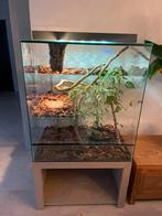 Groot hoog terrarium 100 cm hoog en 90 cm breed, Dieren en Toebehoren, Ophalen of Verzenden, Zo goed als nieuw, Terrarium of Paludarium