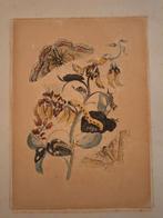 Kleurenets van vlinders en rupsen, Ophalen of Verzenden