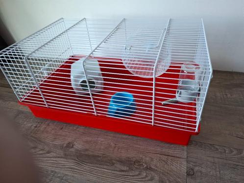 Nieuw hamsterkooi incl bak fles wiel slaap huisje compleet, Dieren en Toebehoren, Knaagdieren en Konijnen | Hokken en Kooien, Nieuw