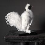 Taxidermie buffel schedels wand & op standaard gewei hoorns, Verzamelen, Dierenverzamelingen, Ophalen of Verzenden, Nieuw, Overige soorten