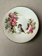 Vintage Old Foley James Kent LTD Staffordshire bordje mus, Ophalen of Verzenden