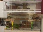 Caviakooi van Glas – Grote Knaagdierkooi op Maat, Minder dan 60 cm, Nieuw, Ophalen of Verzenden, Hok