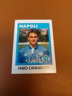 fabio cannavaro rookie calcio flash 1993 zeldzaam, Ophalen of Verzenden, Zo goed als nieuw, Buitenlandse clubs, Poster, Plaatje of Sticker