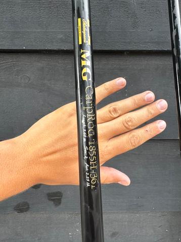 Karper/doodaas hengel beschikbaar voor biedingen