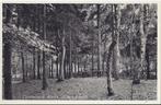 Lunteren Bank in het Bosch Oude Ansichtkaart ( 8314 ), Ophalen of Verzenden, 1940 tot 1960, Gelderland