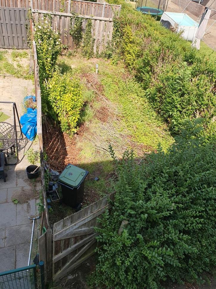 (Volks)tuin tehuur locatie Heerlen, Tuin en Terras, Planten | Struiken en Hagen, Ophalen of Verzenden