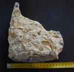Vuursteenblok met zeeegelresten, Verzamelen, Mineralen en Fossielen, Ophalen of Verzenden, Fossiel