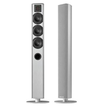  Piega: Ace 50 Vloerstaande speaker - 2 stuks - Zilver beschikbaar voor biedingen