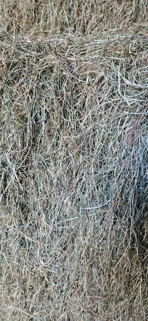 Hooi pakjes, Dieren en Toebehoren, Dierenvoeding, Vee, Ophalen