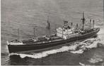 s.s. Almdyk Holland America Line ansichtkaart, Ophalen of Verzenden, Zo goed als nieuw, Motorboot, Kaart, Foto of Prent