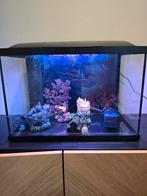 Superfish start 70l, Ophalen, Leeg aquarium
