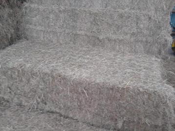 Hooipak groot beschikbaar voor biedingen