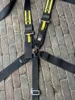 5 punts gordel, Ophalen of Verzenden, Nieuw