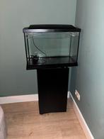 Aquarium 60l + aquarium meubel, Dieren en Toebehoren, Vissen | Aquaria en Toebehoren, Ophalen, Leeg aquarium