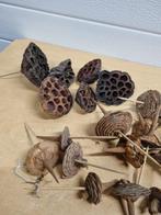 B225 kerst decoratie instekers verschillende, Ophalen of Verzenden, 'T Olde Gre-j, Info@toldegrej.nl, Endepoelstraat 20f Didam