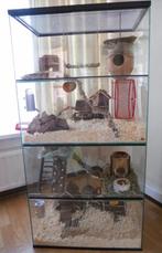 Terrarium voor degoe, muis, rat of hamster, Ophalen, Kooi, Gebruikt, Minder dan 75 cm
