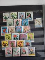 Postzegels Molukken bloemenserie 1954., Ophalen of Verzenden, Na 1940, Postfris