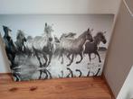 Ikea paarden canvas schilderij 70 x 50, 50 tot 75 cm, Ophalen of Verzenden, Zo goed als nieuw, Schilderij