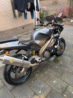 Aprilia tuono, Motoren, Particulier, Naked bike