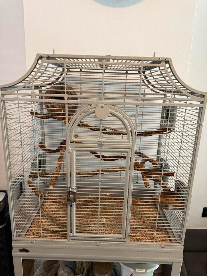 Montana madeira 1 platinum, Dieren en Toebehoren, Vogels | Hokken en Kooien, Zo goed als nieuw, Vogelkooi, Metaal, Ophalen