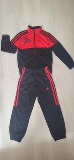 Adidas trainingspak, Jongen of Meisje, Gebruikt, Ophalen of Verzenden, Sport- of Zwemkleding