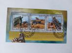 378 Motief: Zebra, Zebra's, Ophalen of Verzenden, Dier of Natuur