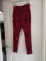 Ongedragen travelstof broek maat s merk my pashion, Nieuw, Ophalen of Verzenden, Maat 36 (S), Rood