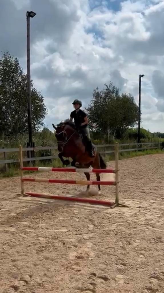 Bijrijder aangeboden ( omgeving Etten-Leur ), Dieren en Toebehoren, Paarden en Pony's | Overige Paardenspullen, Nieuw, Ophalen of Verzenden