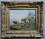 == ALBERT VERHOESEN 1806-1881==koeien in landschap==, Ophalen of Verzenden