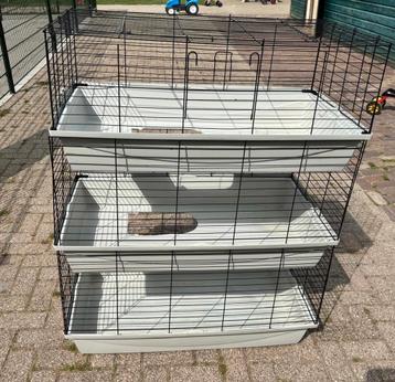 Cavia kooi 100 cm.    3 hoog /totaal 125 cm hoog beschikbaar voor biedingen