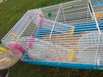 Lieve dwerghamster met kooi en toebehoren, Kooi, Minder dan 75 cm, Zo goed als nieuw, Hamster