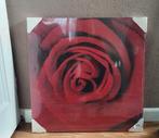 Diverse schilderijen, Ophalen, Minder dan 50 cm, Nieuw, Schilderij